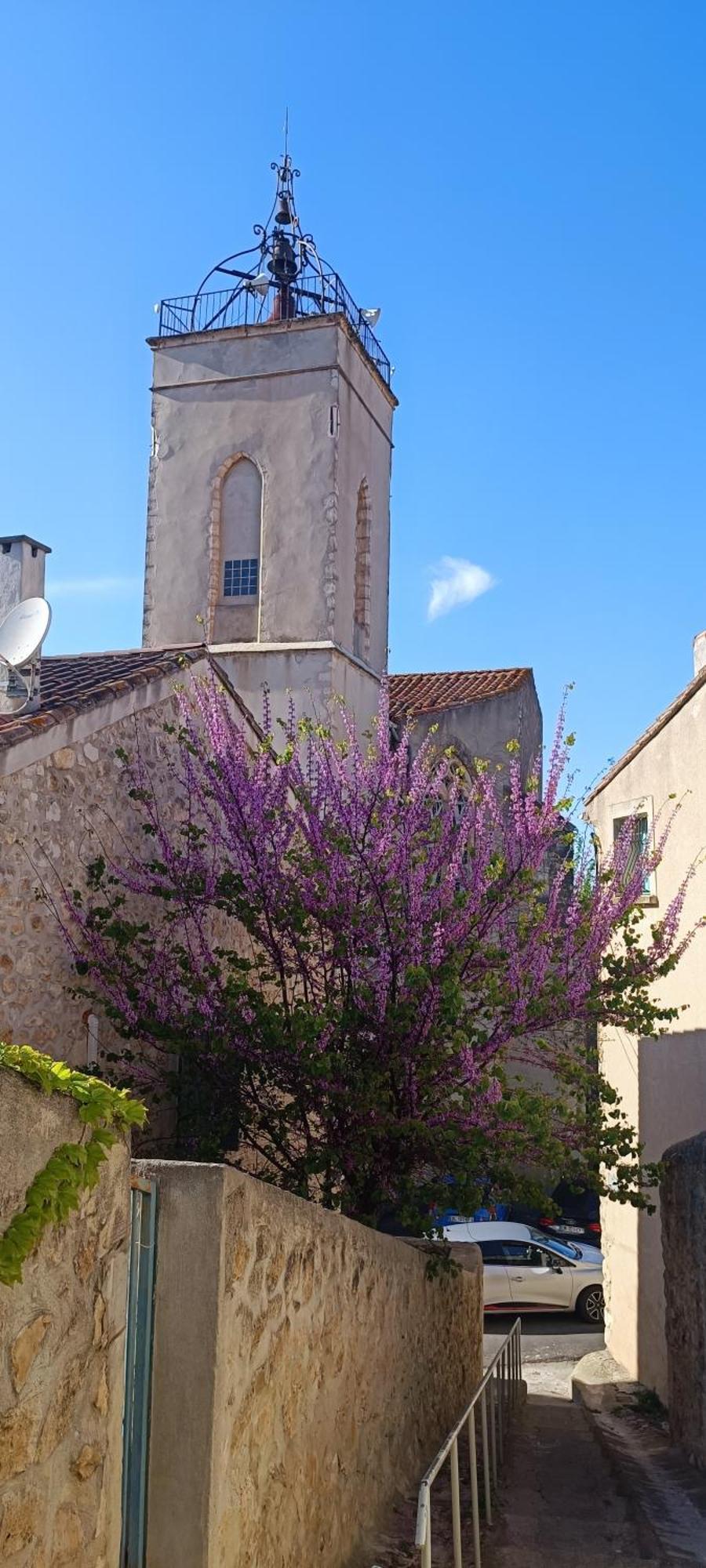 Gite La Capelle Roquefort Des Corbieres Sigean Narbonne Aude Eksteriør bilde